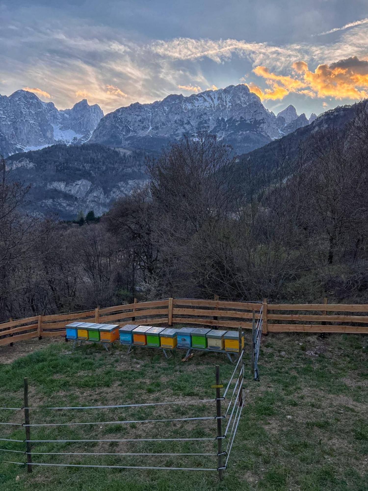 Agriturismo Ai Castioni Molveno Zewnętrze zdjęcie