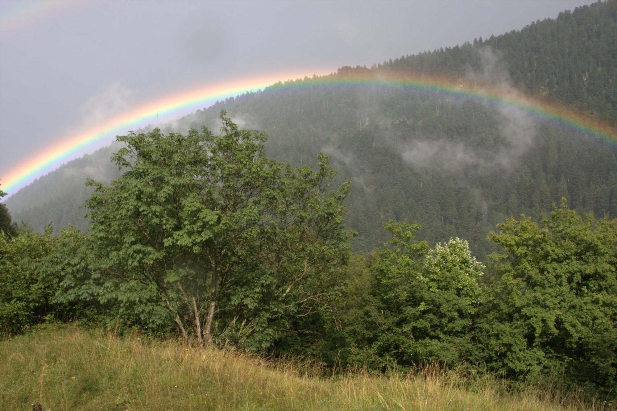 Willa Agriturismo Ai Castioni Molveno Zewnętrze zdjęcie